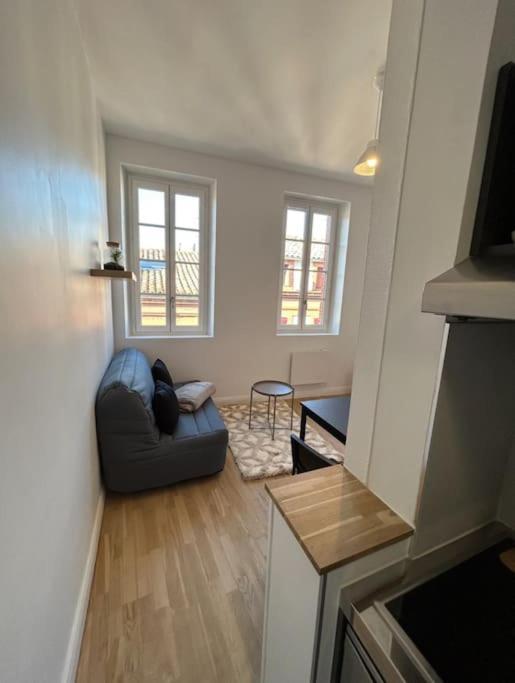 Le Studio Cygne Blanc Hypercentre Rue Riquet Тулуза Екстер'єр фото
