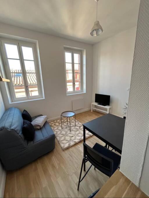 Le Studio Cygne Blanc Hypercentre Rue Riquet Тулуза Екстер'єр фото